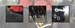 MusicalRideHorse1026